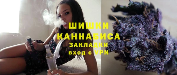 индика Нестеровская