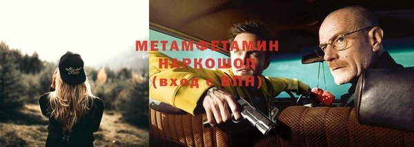 индика Нестеровская