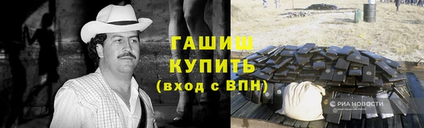индика Нестеровская