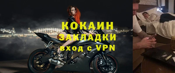 индика Нестеровская