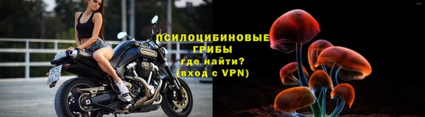 индика Нестеровская
