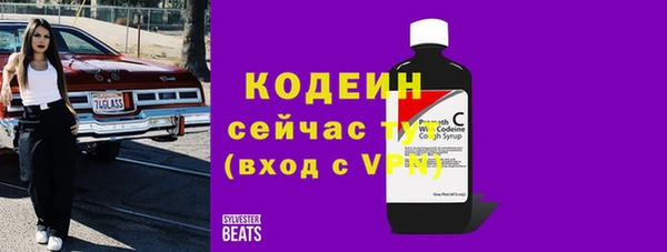 индика Нестеровская
