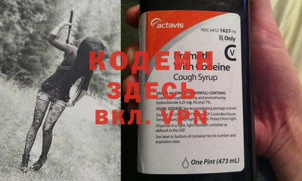 индика Нестеровская