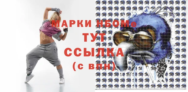 индика Нестеровская