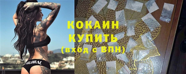 индика Нестеровская