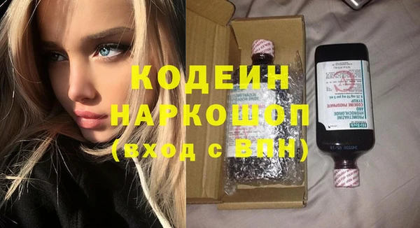 индика Нестеровская