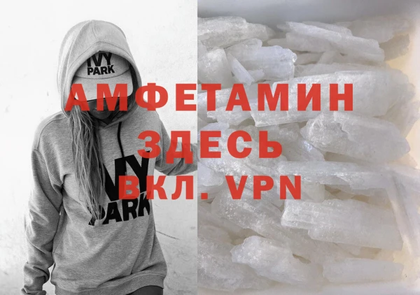 индика Нестеровская