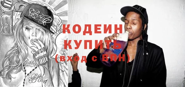 индика Нестеровская