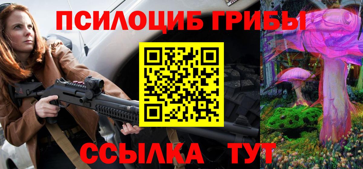 где найти наркотики  Вход с VPN  Мурманск  Псилоцибиновые грибы Magic Shrooms  Псилоцибиновые грибы Psilocybine cubensis 