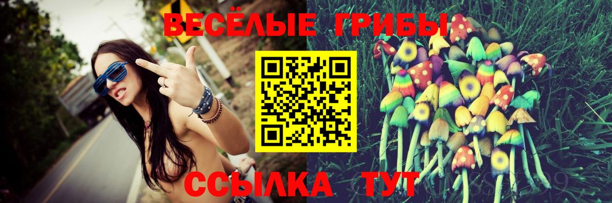 Псилоцибиновые грибы Cubensis Мурманск