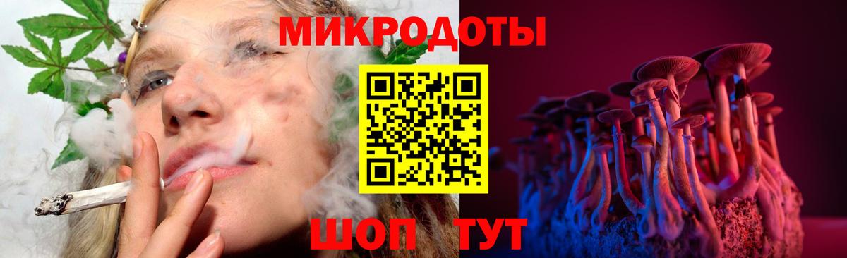 Галлюциногенные грибы Cubensis Мурманск